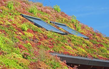 Little Linford living roof systems