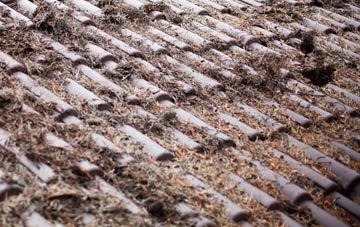 Little Linford roof cleaning companies