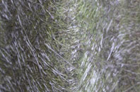 Little Linford fibreglass roof work